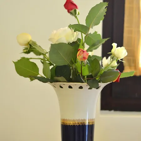 דירה Mate Banja Koviljača