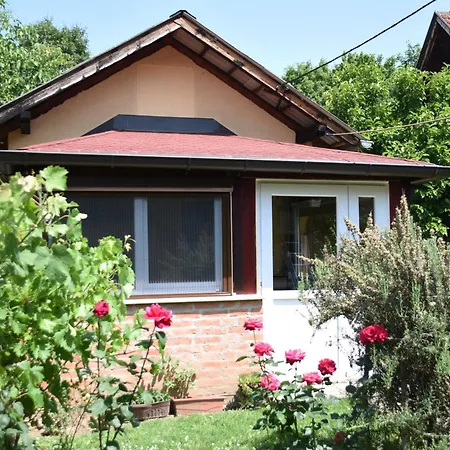 Mate דירה Banja Koviljača