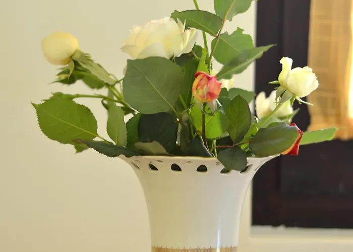 Apartmán Mate Banja Koviljača