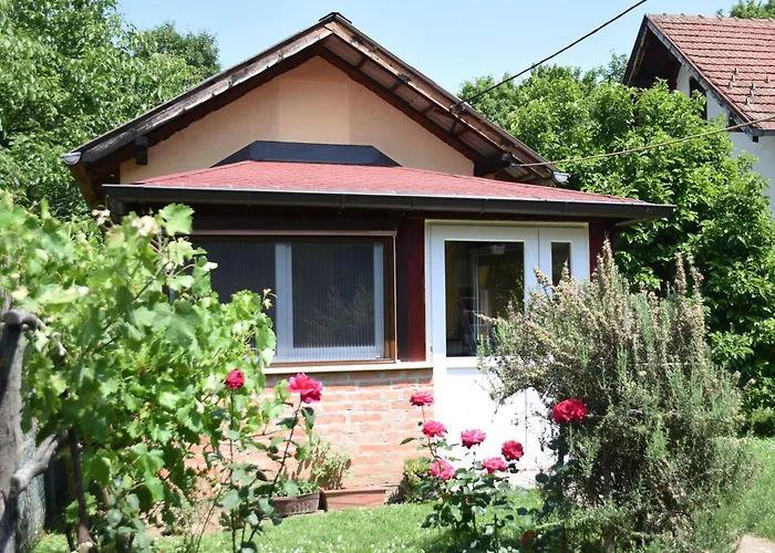 Mate Apartmán Banja Koviljača